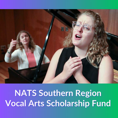 NATS Southern Scholarship Fund button